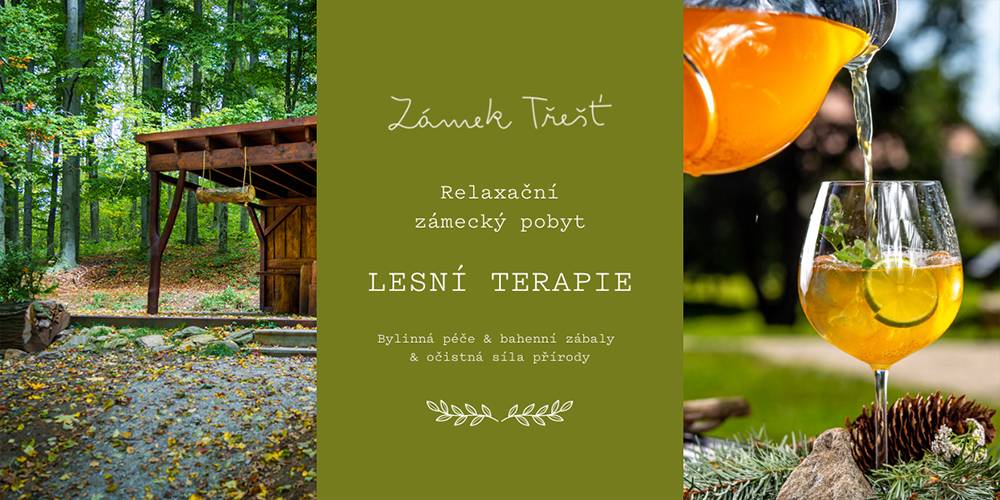 Relaxační zámecký pobyt – Lesní terapie